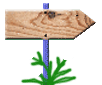 imagesuivante1